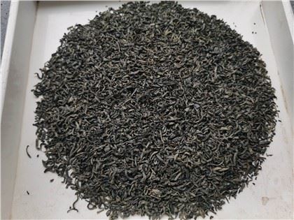 Té verde Chunmee estándar de la UE 411 Calidad