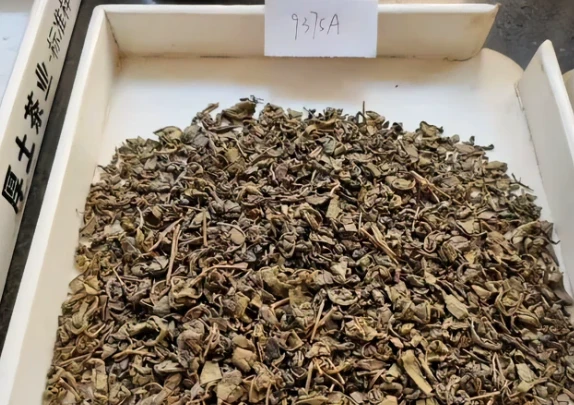 Chinese Gunpowder 9375 Libya Tea Excellent Quality